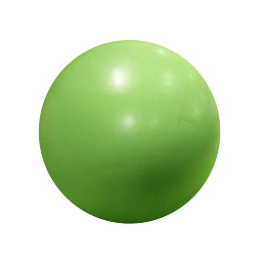 Balle d'exercice Yoga, Fitness et Pilates - Power shift fitness